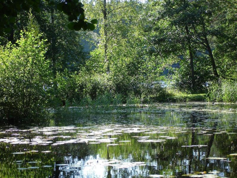 Hotelli Nuuksio Espoo Dış mekan fotoğraf